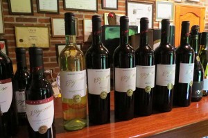 Degustação de Vinhos no Uruguay