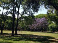 Seis parques em Buenos Aires.